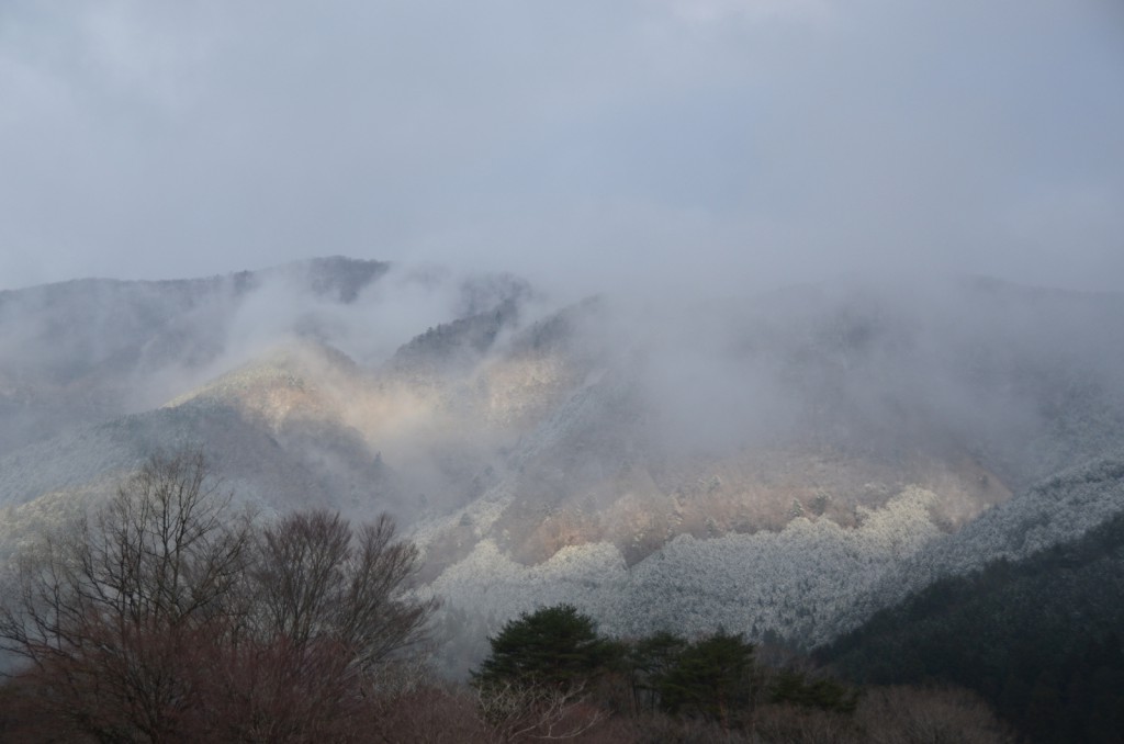 田貫湖キャンプ場